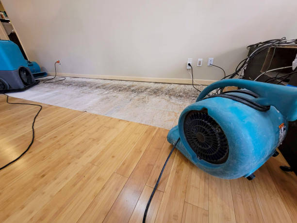 24/7 Emergency Water Damage Repair experts in Meridian, OK